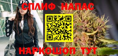 гашик Ставрополь